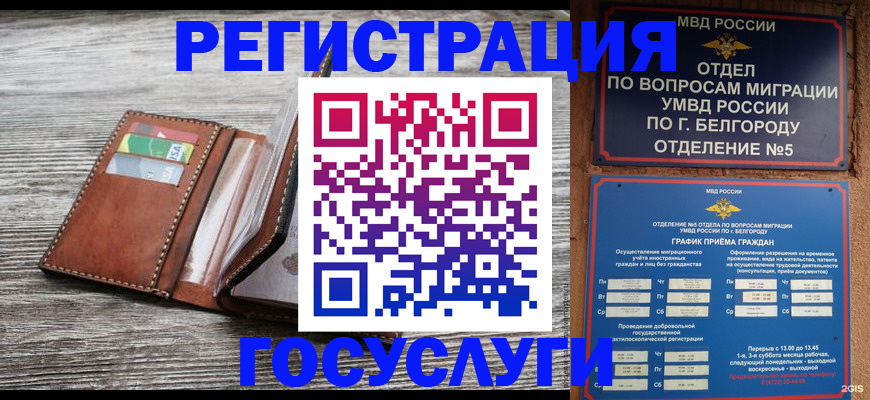 временная регистрация гарантия в Курчалом